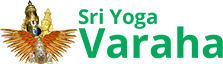 Sri Yogavaraha Traders